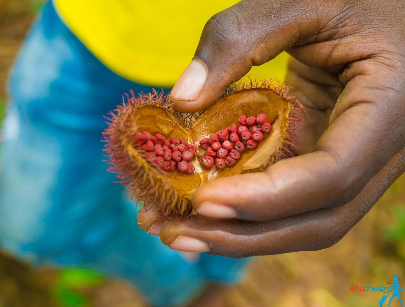 Spice tour in Zanzibar