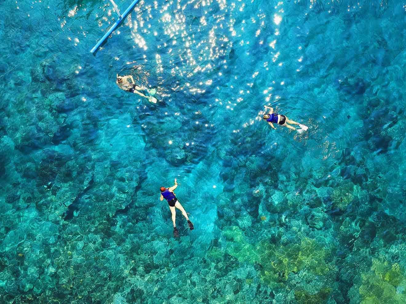 Try snorkeling or diving